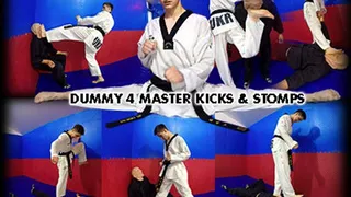 Dummy For Master Kicks And Stomps