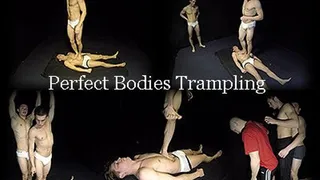 Perfect Bodies Trampling