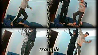 2 fellows trample