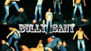 Bully Sany