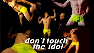 Dont touch the Idol