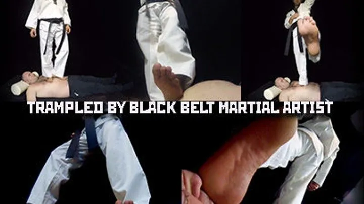 Trampled By Black Belt Martial Artist