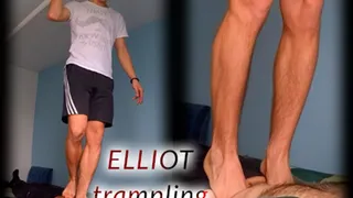 Elliot trampling