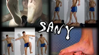 Sany