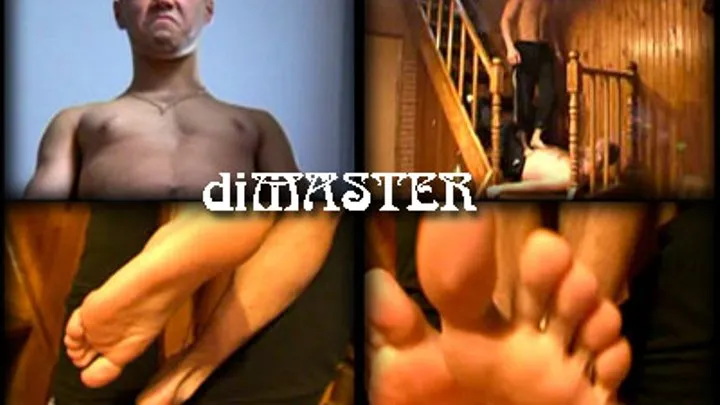 Dimaster