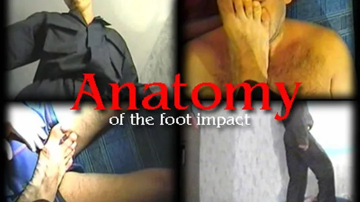 Anatomy of the foot impact