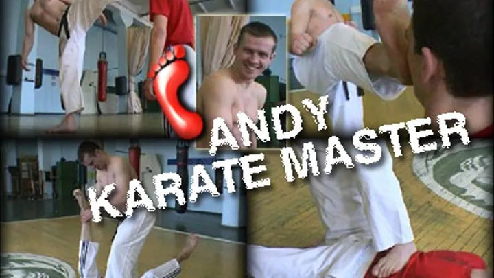 ANDY karatemaster