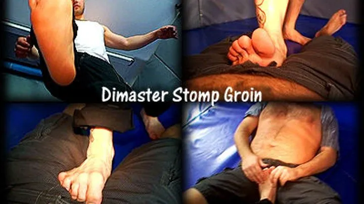 Dimaster Stomp Groin