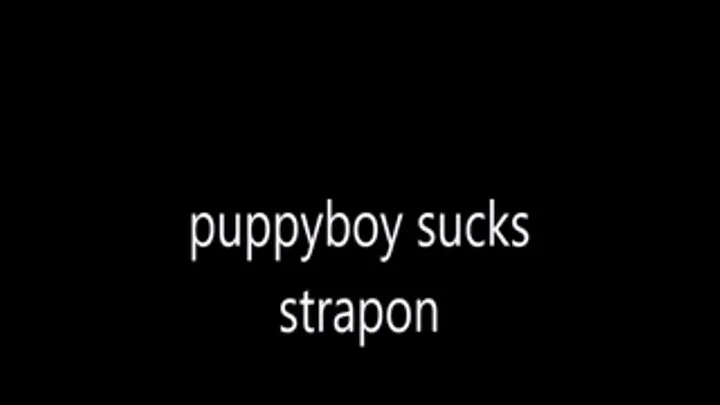 Puppy boy sucks strapon