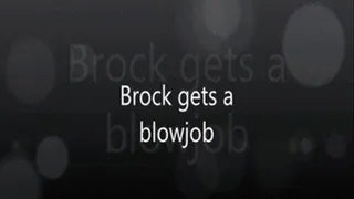 Brock gets a blowjob (apple )