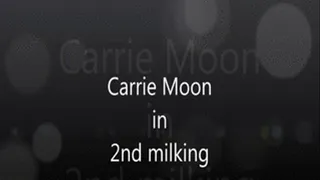 Carrie Moon - 2nd milking