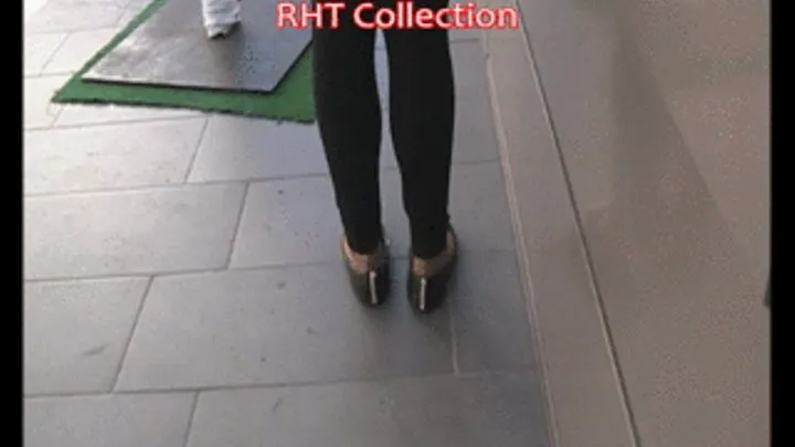 RHT Collection ~ J Crew black flats & tan RHT nylons