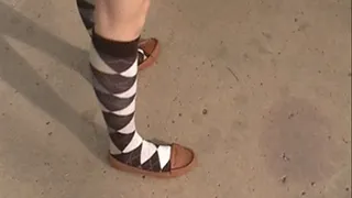 Brown loafers with argyle socks ~ park fence