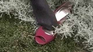 Red peep toes on the flagstone patio