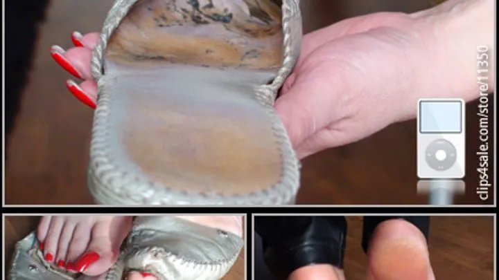 INSIDE MY SMELLY LEATHER SLIPPERS 2010-02-07 (M4V)