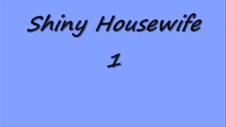 the shiny housewife part 1