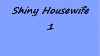 the shiny housewife part 1