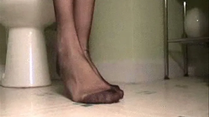 Sexy Nylon Legs and Feet