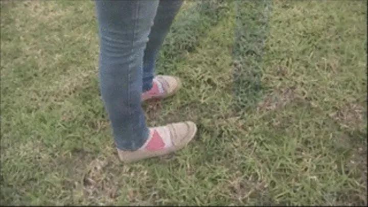 Well worn tan penny loafers & argyle socks ~ Heel crush