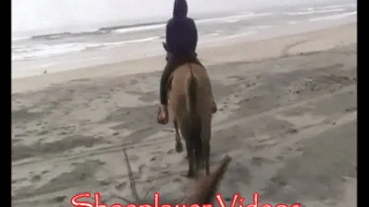 2014: Horseback shoeplay and loss