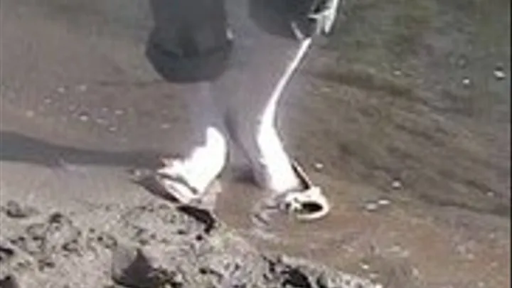 PeepToes in the mud