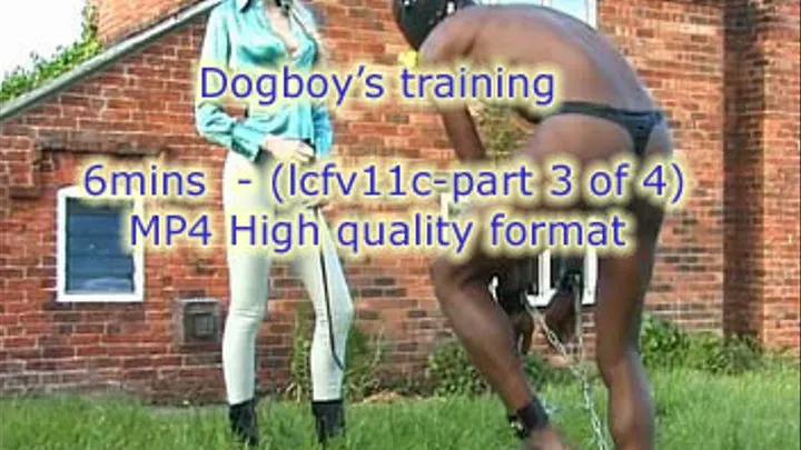 lcfv11c -- Dogboy's training by Lady Samantha -- clip3 of 4