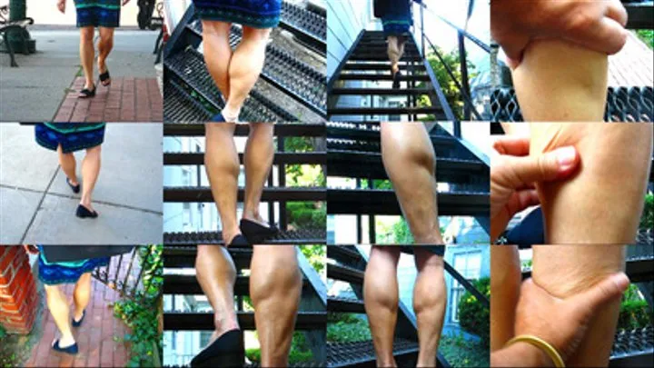 Calves on the street and going up the iron staircase