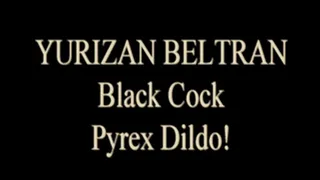 Yurizan Beltran Black Cock Glass Dildo!