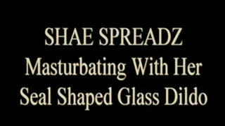 Shae Spreadz Uses 2 Glass Dildos!