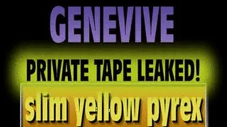 Genevive PRIVATE TAPED Pyrex Fun! - (480 X 270 in size)