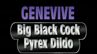 Genevive Bangs Black Cock Dildo! - PS3 (720 X 480 in size)