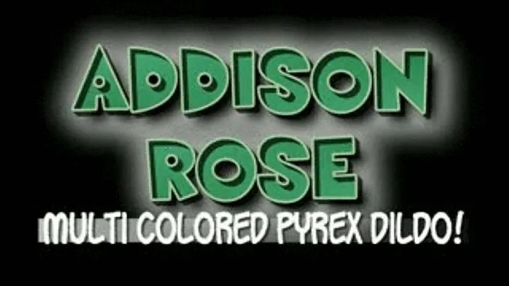 Addison Rose Multi Colored Pyrex Toy! - WMVT VERSION ( in size)