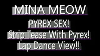 Mina Meow Lap Dance Pyrex Play! - (368 X 208 SIZED)