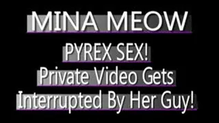 Mina Meow PRIVATE Blow Job - AVI VERSION