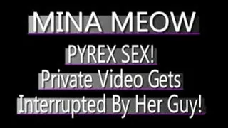 Mina Meow PRIVATE Blow Job - (480 X 320 SIZED)