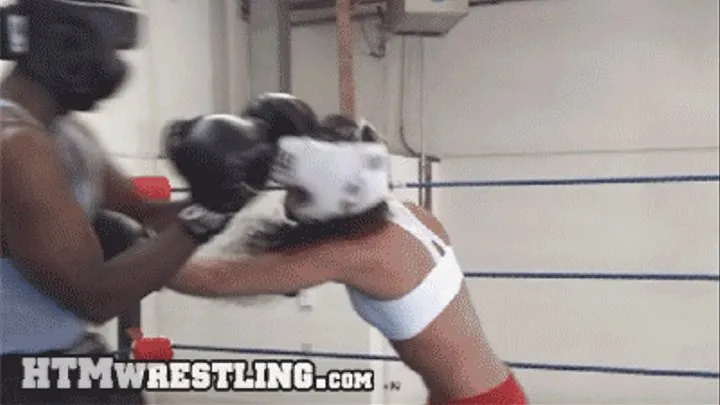 Hotstuff Hollie Mixed Sparring vs Darrius