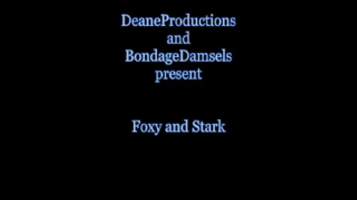 Foxy and Stark: Birthday Bondage Games - Part Two