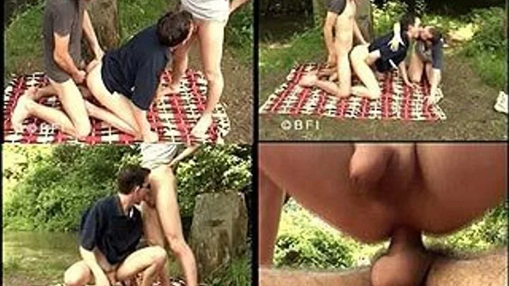 Threesome picnic sex