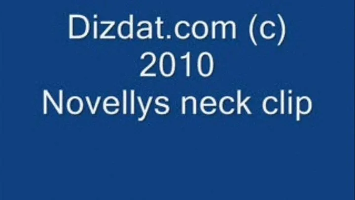 Novelly's neck clip