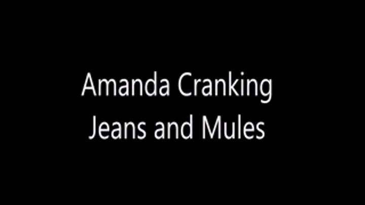 Amanda Jeans Mules Cranking