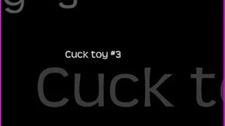 CuckToy #3 ~ The FuckFest #1