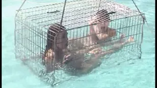 Hydrophobia 9- double dunking in the cage