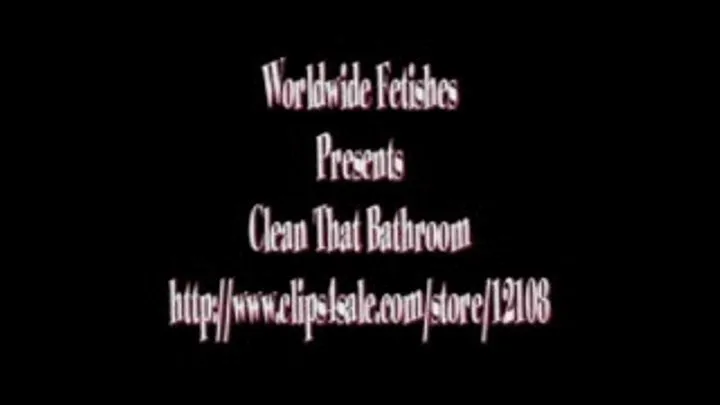 Clean That Bathroom - MPEG