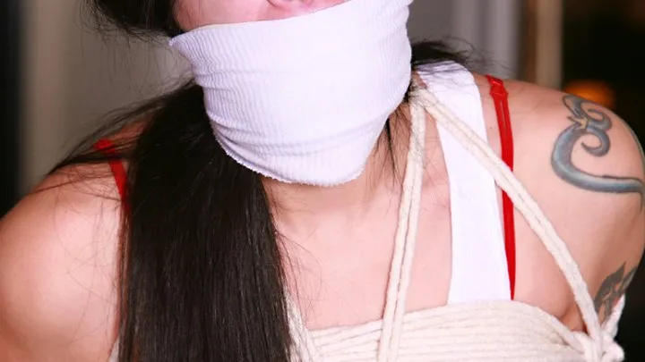 Cassandra is a Furious, Frustrated, & Tightly Bound, Gagged, Hopping Mad Gag talking Babysitter!