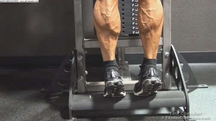 Tina Super Ripped Vascular Muscular Calves