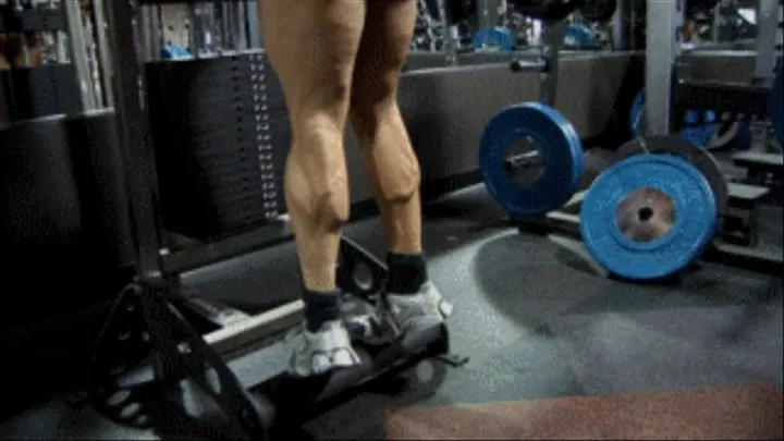 Natasha Standing Calf Raises In The Gym