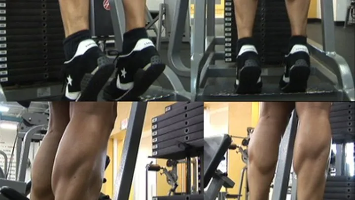 Standing Calf Raises Hi Res - getting them pumped