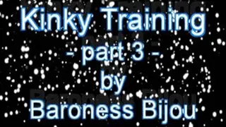 Kinky Training - Part 3
