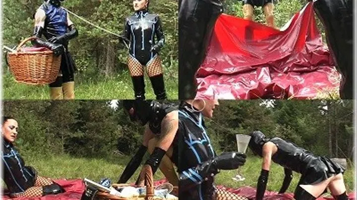 Kinky Picnic � Part 1