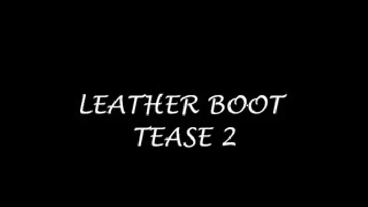 LEATHER BOOTS 2